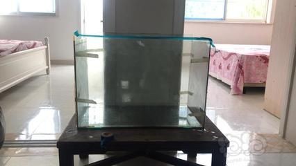 打膠的魚缸會(huì)不會(huì)有隱患：魚缸打膠的注意事項(xiàng)