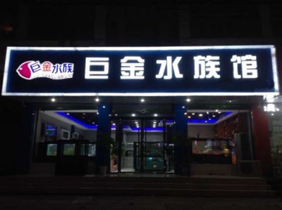 廣州魚缸專賣店推薦28篇智腦大模型提煉5個關鍵詞：廣州魚缸專賣店28篇智腦大模型提煉5個關鍵詞