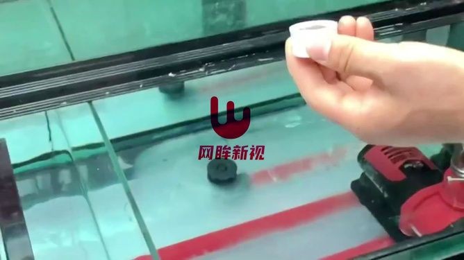 大魚缸空魚缸：養風水魚的技巧與注意事項與注意事項與注意事項