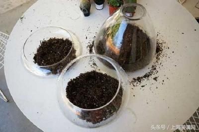大魚缸空魚缸：養風水魚的技巧與注意事項與注意事項與注意事項