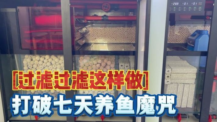 南昌市東湖區配芳好運水族館