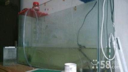 大興黃村哪里有賣魚缸的店子啊：在大興黃村尋找一個銷售魚缸的店鋪
