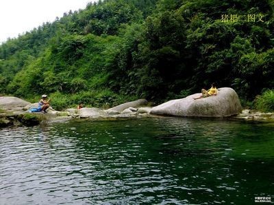 龍魚趴在缸底發呆怎么辦