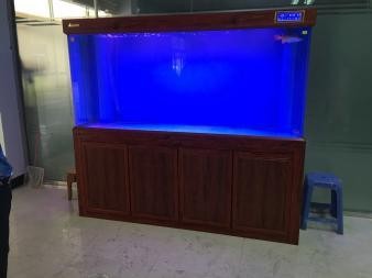 營口經濟技術開發區藝海金龍花魚宮（營口金龍魚電話）