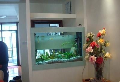 大廳魚缸應該放在哪里好看：大廳魚缸擺放位置應該綜合考慮風水學的原則、美觀性和實用性