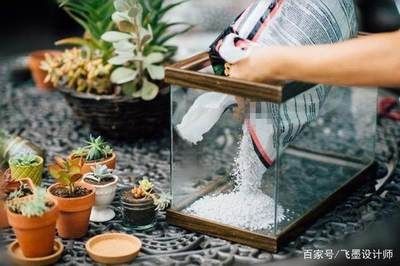 購買帶柜子的魚缸有其獨(dú)特的優(yōu)點(diǎn)，但也需要注意一些問題：如何選擇一個(gè)安全穩(wěn)固的魚缸柜