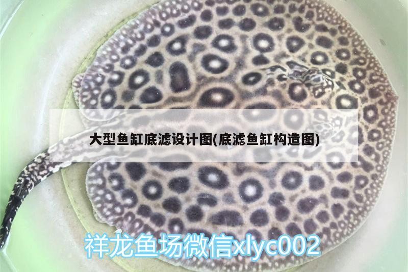 大型魚缸底濾設計圖(底濾魚缸構造圖)