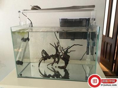 深圳市海洋世界有限公司水族館商店（深圳市海洋世界有限公司水族館商店地址）