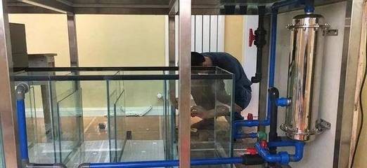 安順市西秀區(qū)王記水族店（安順市西秀區(qū)王記水族店電話）