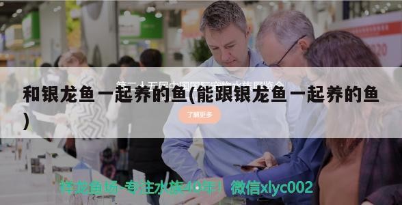 和銀龍魚一起養的魚(能跟銀龍魚一起養的魚)