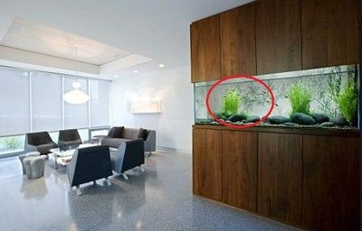 財位上能放魚缸嗎：魚缸擺放方位魚缸擺放注意事項魚缸擺放需要注意事項
