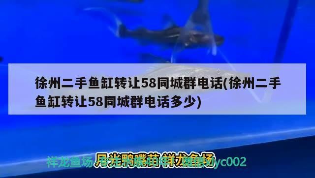 徐州二手魚缸轉讓58同城群電話(徐州二手魚缸轉讓58同城群電話多少)