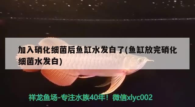 720周六虎魚(yú)圈