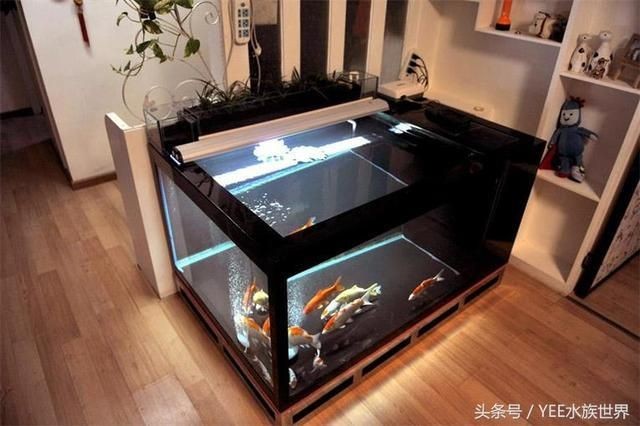 魚缸溢流區的秘密魚缸溢流區的秘密魚缸溢流區的設計：如何在底濾魚缸中實現既能吹底便又能打氣泡