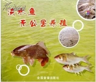 淡水魚魚缸養殖技術：淡水魚養殖技術