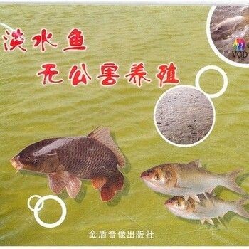 淡水魚魚缸養殖技術：淡水魚養殖技術
