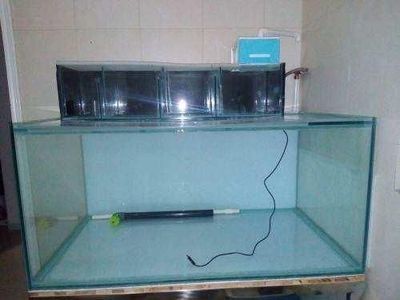 給大魚缸換水的頻率是固定的,而是需要根據多種因素來確定:給大魚缸換水的頻率不是固定的,而是需要根據多種因素來確定