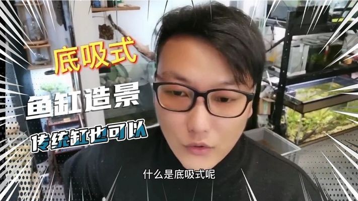 大魚缸改造成水草缸好嗎：如何改造大魚缸成為水草缸