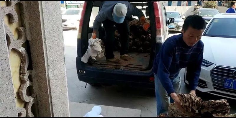 大魚缸改造成水草缸好嗎：如何改造大魚缸成為水草缸