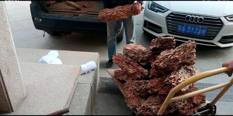 大魚缸改造成水草缸好嗎：如何改造大魚缸成為水草缸