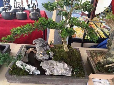 風水學中魚缸里放石頭需要注意以上幾點以確保既美觀又能為魚類提供良好的生活環境：風水學與魚缸的結合