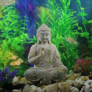 風水學與佛教信仰的融合風水學與佛教信仰的融合風水學：佛像的裝飾能否放魚缸里