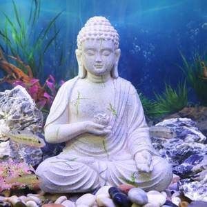 風水學與佛教信仰的融合風水學與佛教信仰的融合風水學：佛像的裝飾能否放魚缸里