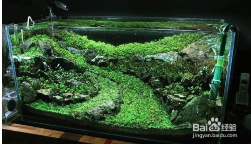 湟中縣多巴彩魚閣水族（湟中多巴海洋館）