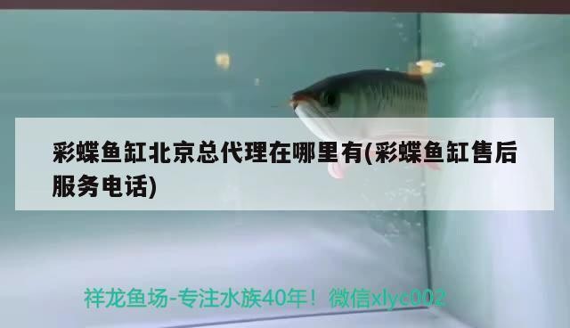 銀川市興慶區金景緣水族館（銀川市興慶區金景緣水族館