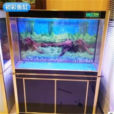 魚缸造景的歷史演變：風景魚缸制作的歷史演變追蹤魚缸造景步驟和注意事項