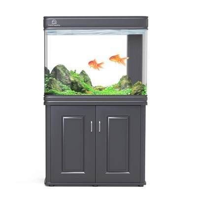 大型魚缸定制哪家好？對比了很多家,還是這家好：嘉興魚缸私人定制提供大型魚缸定做服務