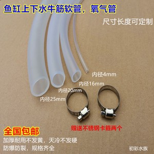 德州市德城區夢幻水族館（德州市德城區夢幻水族館電話）