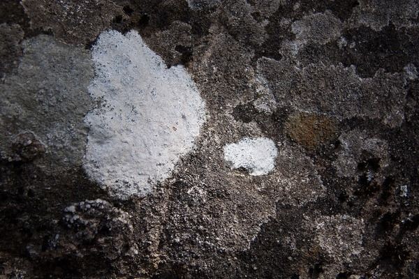 魚缸水泵怎么配置的，如何選擇合適功率的水泵