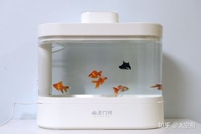 超白小魚缸哪個品牌好用又實惠：超白小魚缸品牌排行榜森森水族箱入選十大超白魚缸產品排行榜