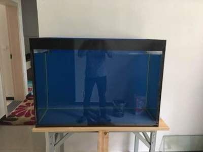 玻璃魚缸漏水用什么膠粘：如何正確使用玻璃膠粘魚缸？