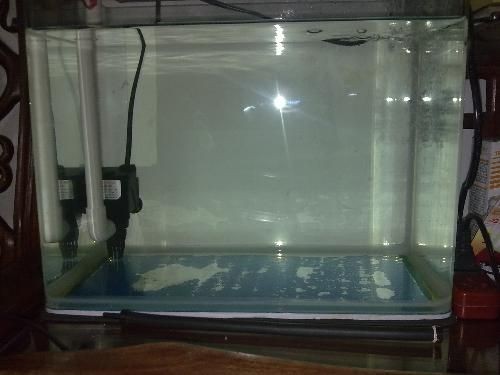 小魚缸過濾器三合一安裝圖，三合一過濾器濾材選擇指南