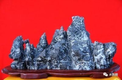 博山哪里賣魚缸便宜：博山地區售賣魚缸的一些地點和價格