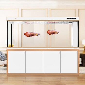 蘇州七彩晨光文化用品有限公司（蘇州七彩晨光文化用品有限公司怎么樣）