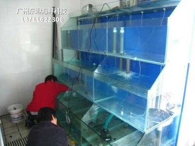 海鮮魚池魚缸設計圖紙的應用：如何獲取海鮮魚池魚缸設計圖紙