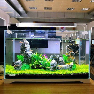 射洪縣樂(lè)事水族館（射洪縣樂(lè)事水族館電話）