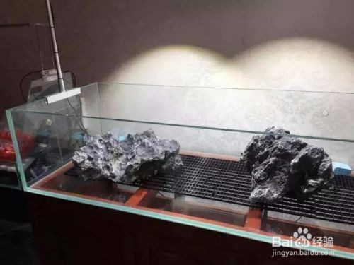 安定區欣遠水族魚館（安定區欣遠水族魚館電話）