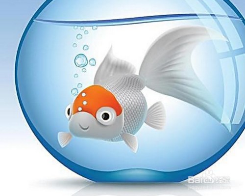 西峰區(qū)好友水族館（西峰區(qū)好友水族館電話）