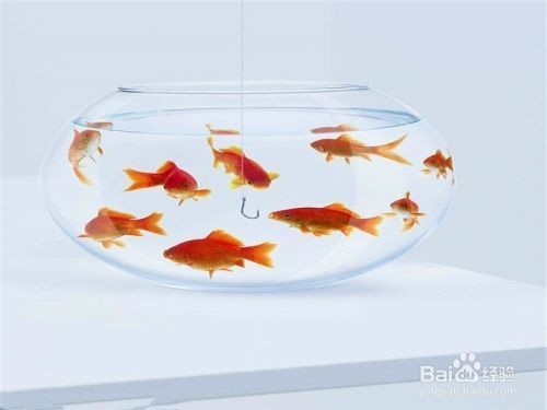 連云港水景記商貿(mào)有限公司（連云港水景記商貿(mào)有限公司怎么樣）