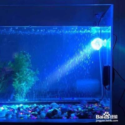 阜陽市潁州區博宇水族館（阜陽市潁州區博宇水族館地址）