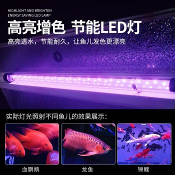 宜良縣榮興水族館（宜良縣榮興水族館