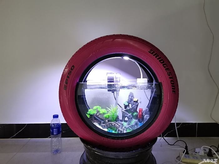 平川區育才路小蓉水族館（平川區育才路小蓉水族館電話）