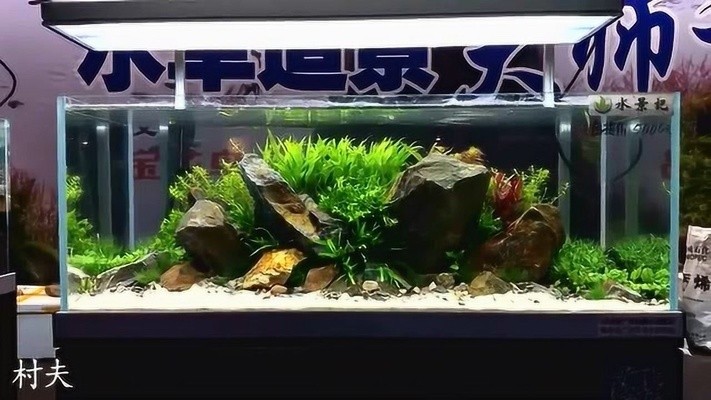 徽縣魚樂水族館（徽縣魚樂水族館