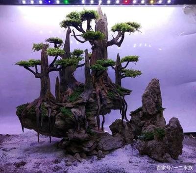 肅州區(qū)云龍水族館（肅州區(qū)云龍水族館