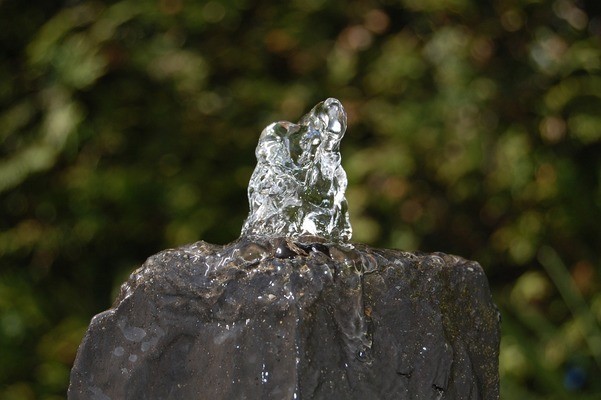 鄉(xiāng)寧縣昌寧森森水族館(鄉(xiāng)寧縣昌寧森森水族館電話) 全國水族館企業(yè)名錄 第1張 鄉(xiāng)寧縣昌寧森森水族館(鄉(xiāng)寧縣昌寧森森水族館電話) 鄉(xiāng)寧縣昌寧森森水族館(鄉(xiāng)寧縣昌寧森森水族館電話) 全國水族館企業(yè)名錄 第1張