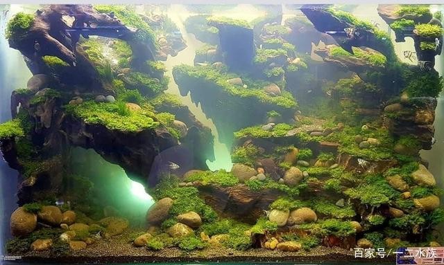 臨沂韻源水族有限公司（臨沂韻源水族有限公司